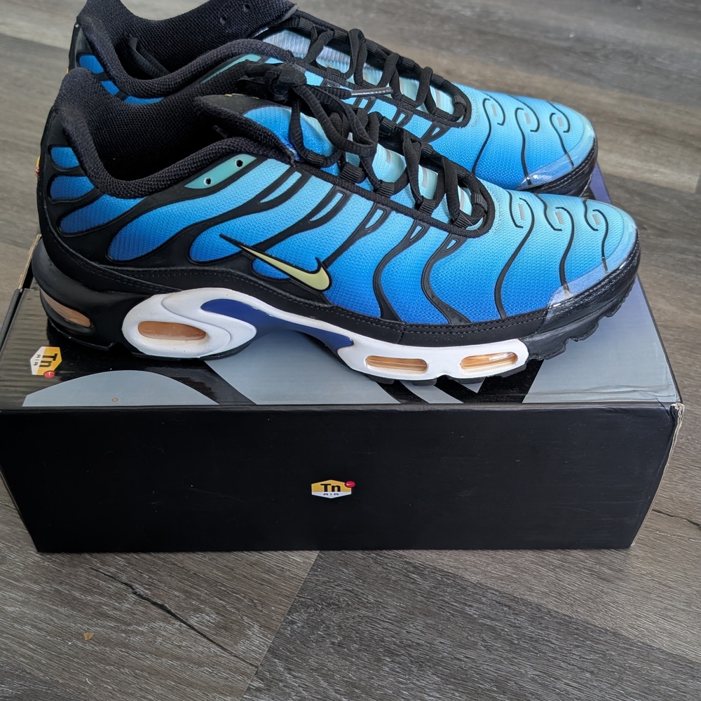 Nike Air Max Plus Blue Sneakers